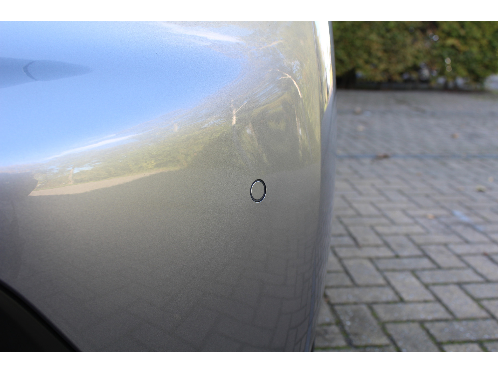 47734907-10.jpg